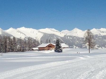 Haus Mondspitze Villa Bürserberg Екстериор снимка